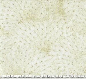 Edwardian Lady jeżyny