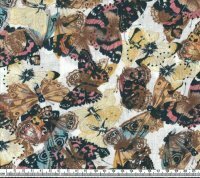 Edwardian Lady motyle