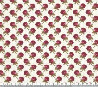 Penelope róże pąki